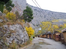 黄色い花が咲く崖下の道