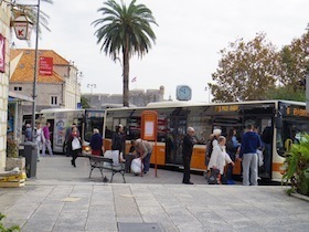 椰子の木とオレンジ色のバス