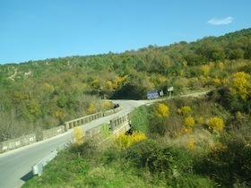 緑の森を通る道