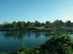 魚の仕掛けがある川