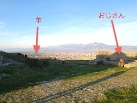 遺跡の中にいる男性と羊