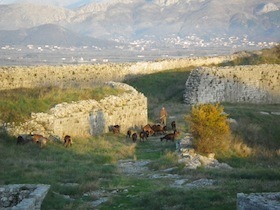 遺跡の中で羊を連れていく羊飼い