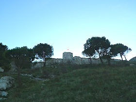 城壁と両脇にある木々