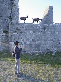 遺跡の上にいる羊と手前にいる女性